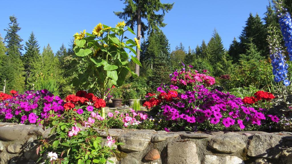 A Hidden Haven Cottages Port Angeles Exterior photo