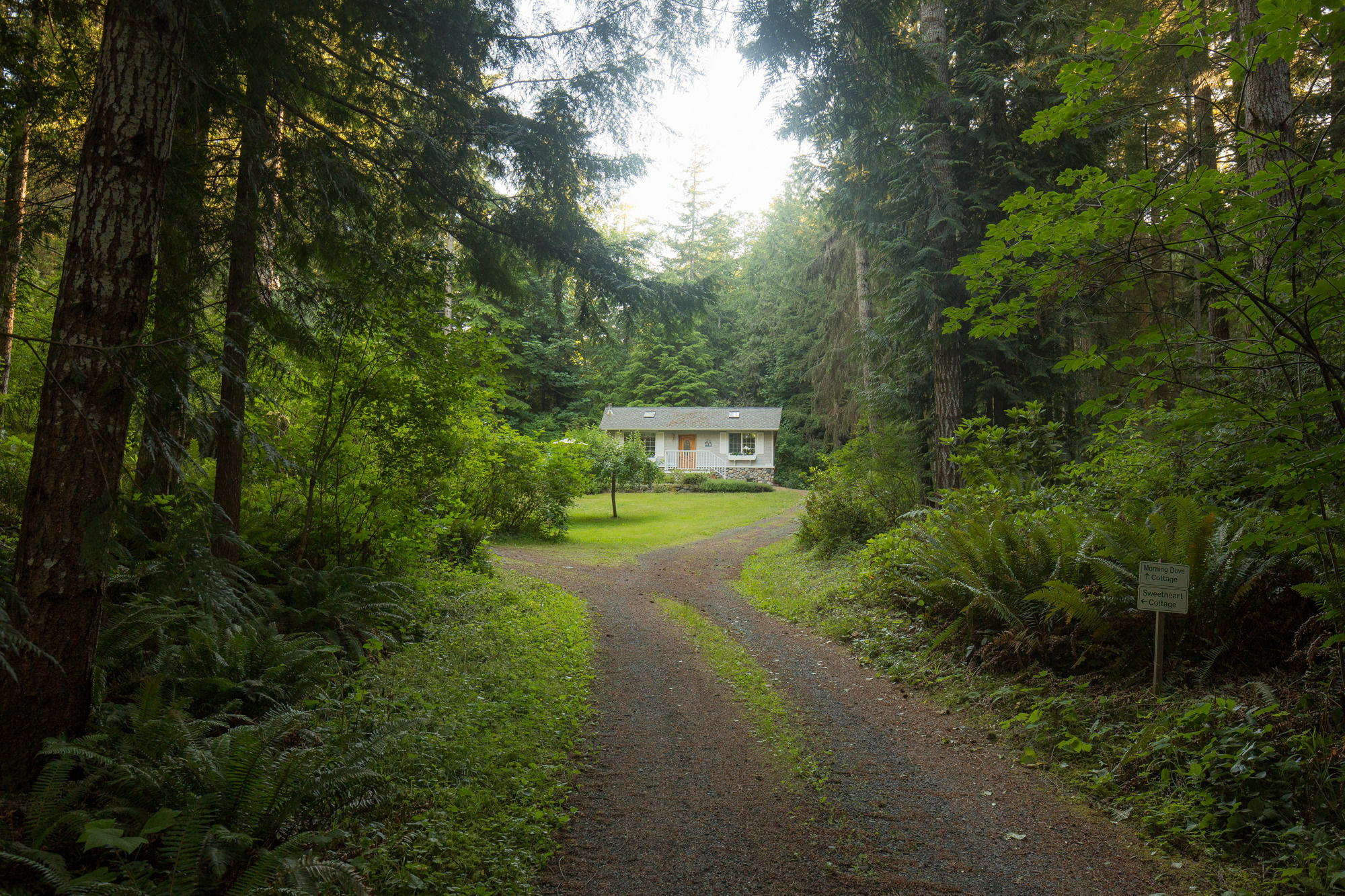 A Hidden Haven Cottages Port Angeles Exterior photo